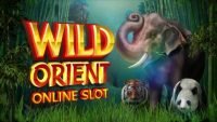 wild-orient-online-slot